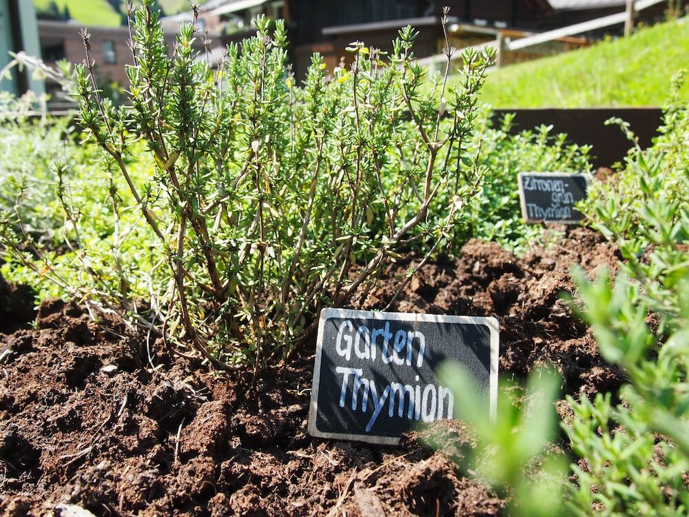 Фото Sporthotel Chalets