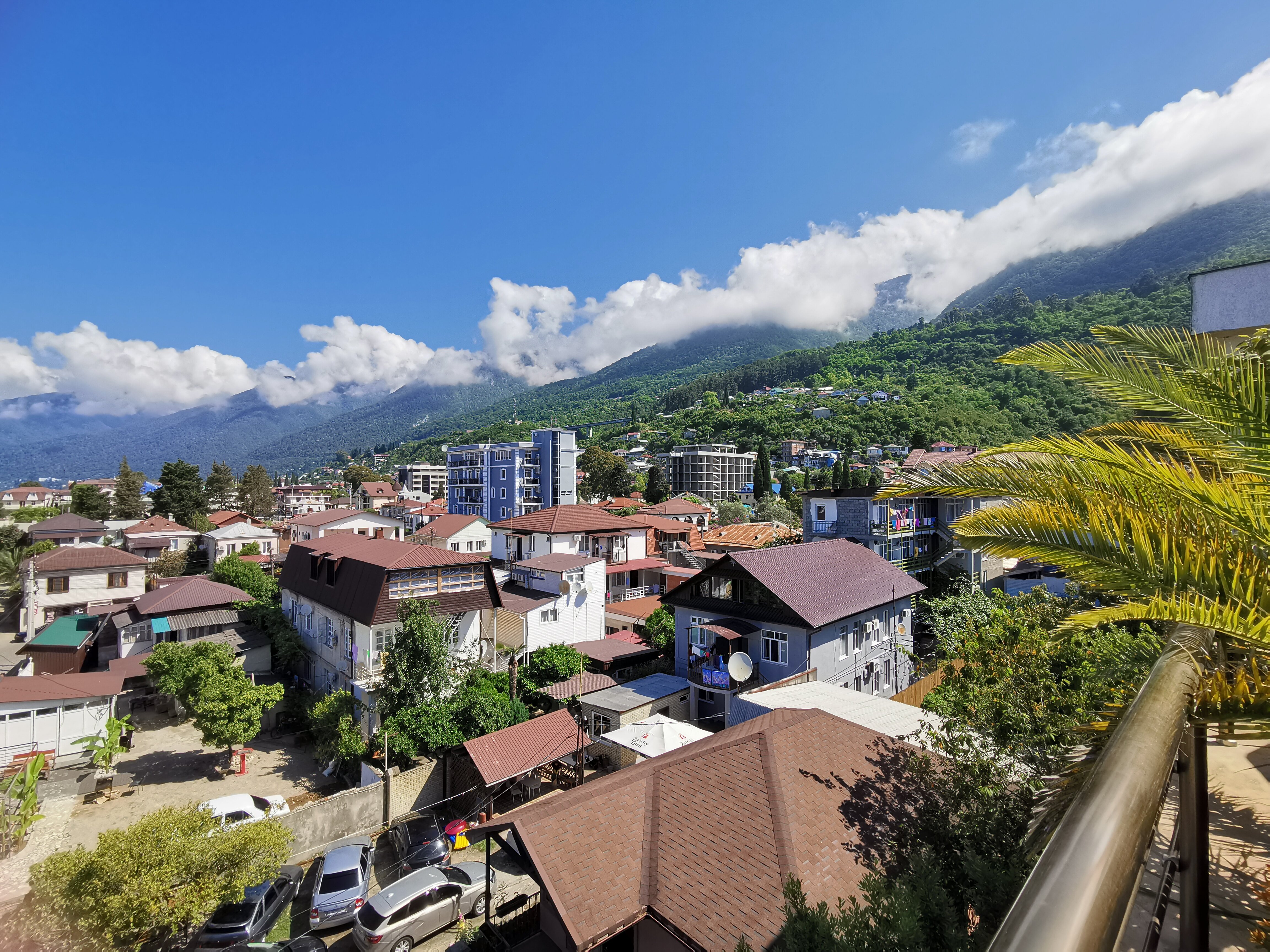 Фото Медовый