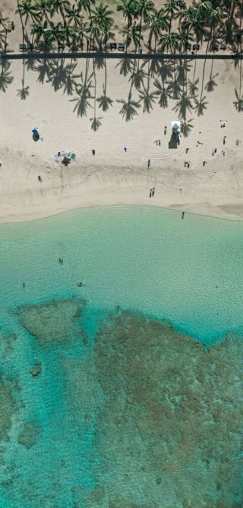 Фото Lotus Honolulu at Diamond Head