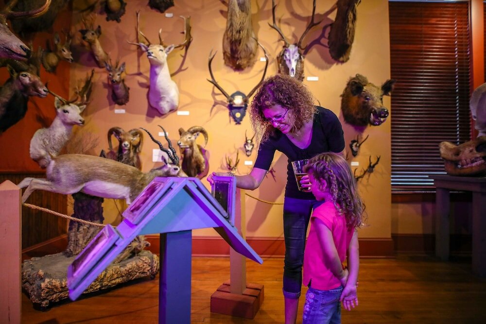 Фото Omni La Mansion del Rio