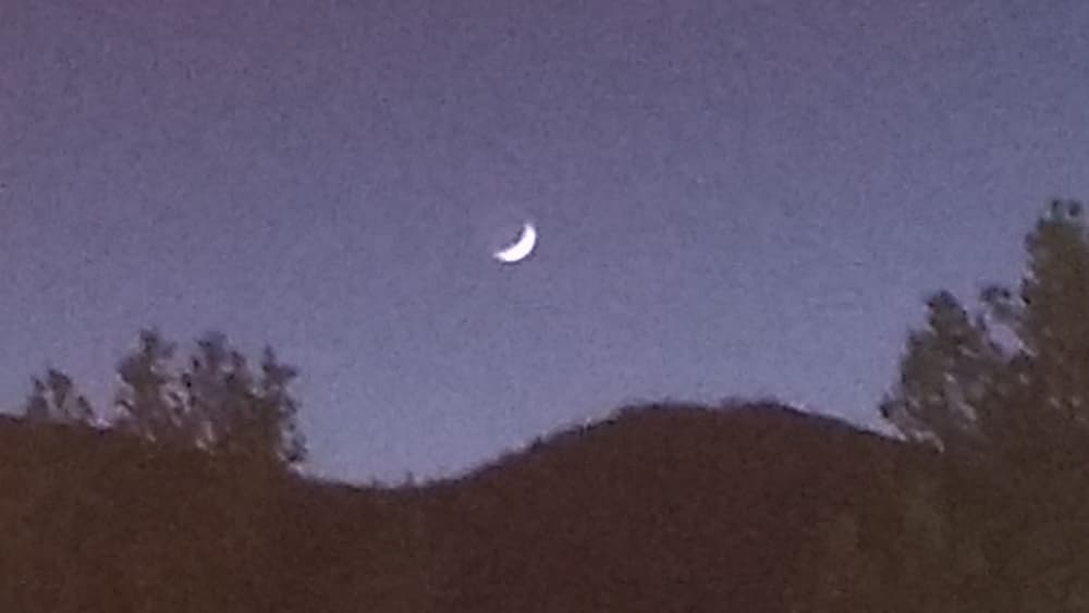 Фото Comfort Inn & Suites Los Alamos