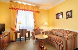 Dvorak SPA & Wellness (Karlovarský kraj, Karlovy Vary, Nová louka 11), hotel