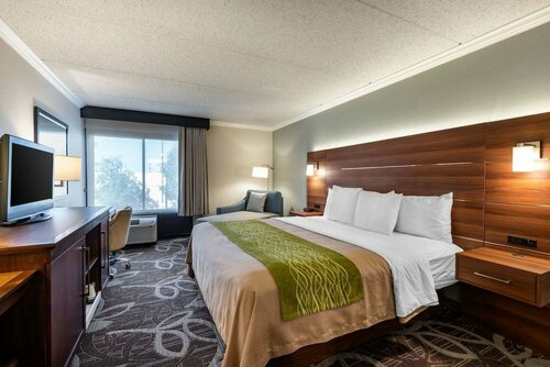 Гостиница Comfort Inn Anaheim Resort в Анахайме