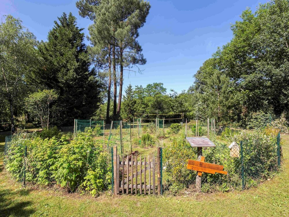 Фото Novotel Bordeaux Merignac