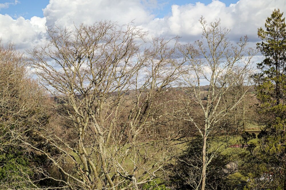 Фото Alexander House And Utopia SPA