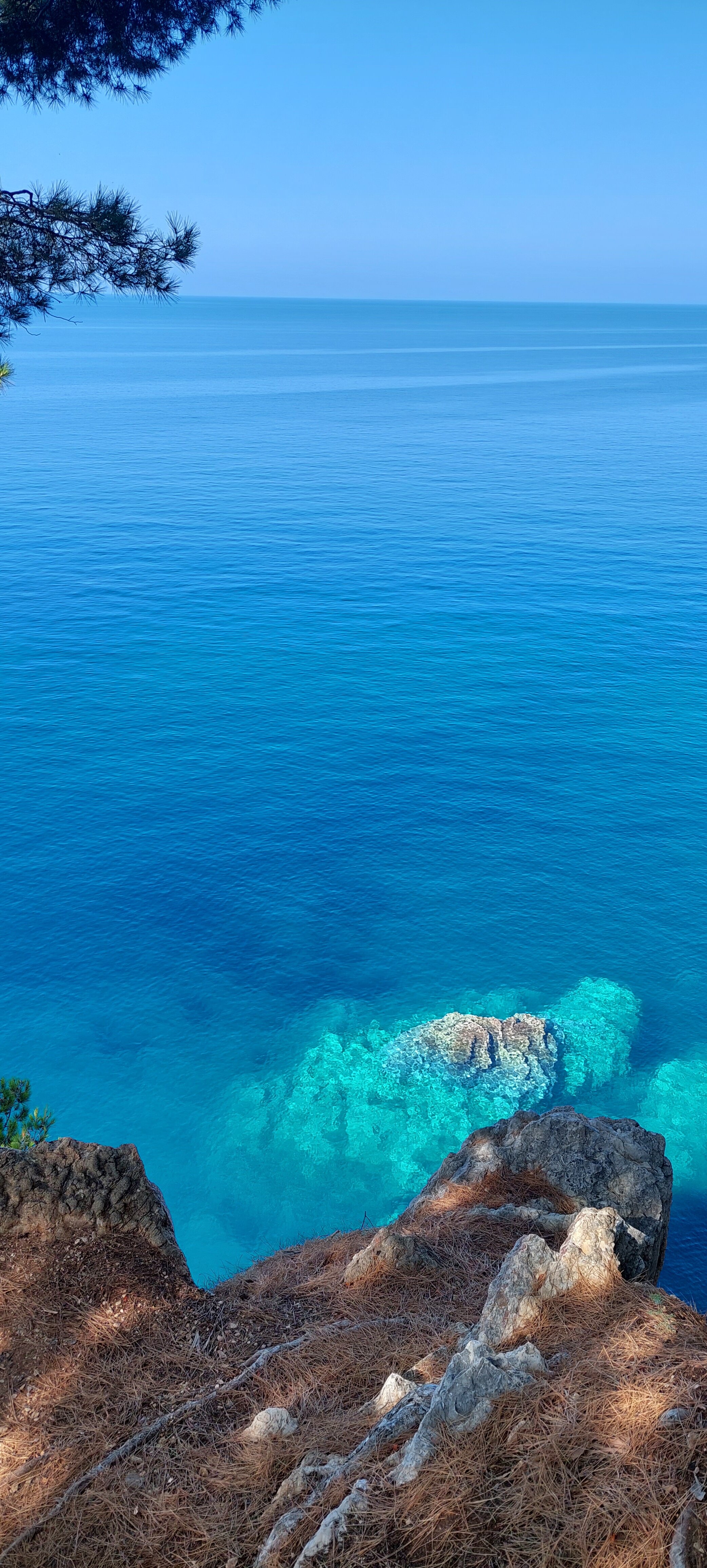 Фото AMI Budva Petrovac