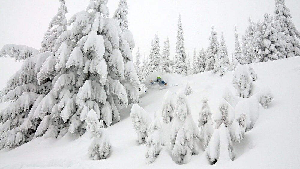 Фото Best Western Edgewater Resort