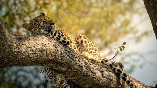 Внешний вид отеля Monwana в Муниципалитете Маруленге, фото 2