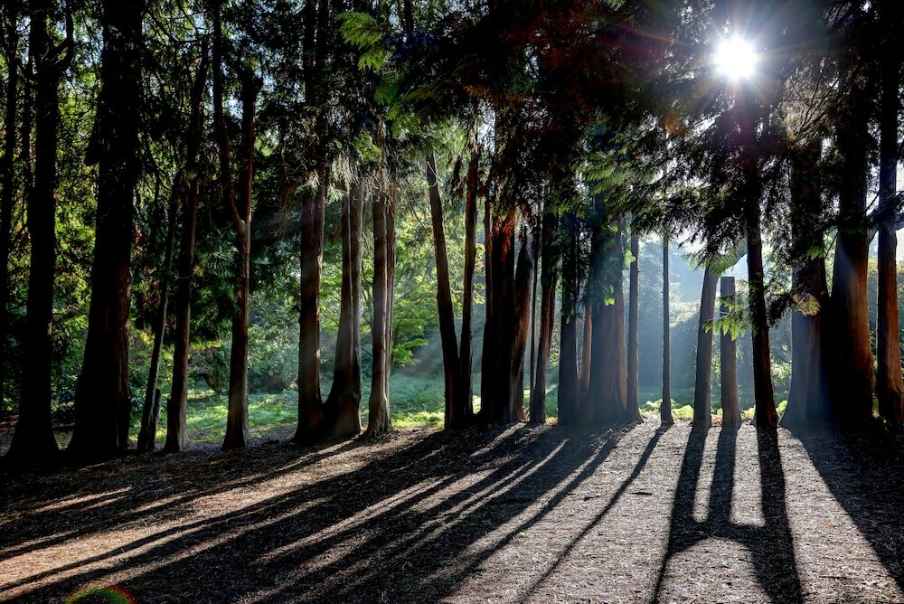 Фото Best Western Chilworth Manor Hotel