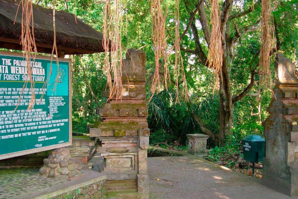 Фото Green Flow Villa 17