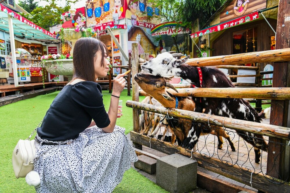 Фото Yufuin Floral Village Hotel