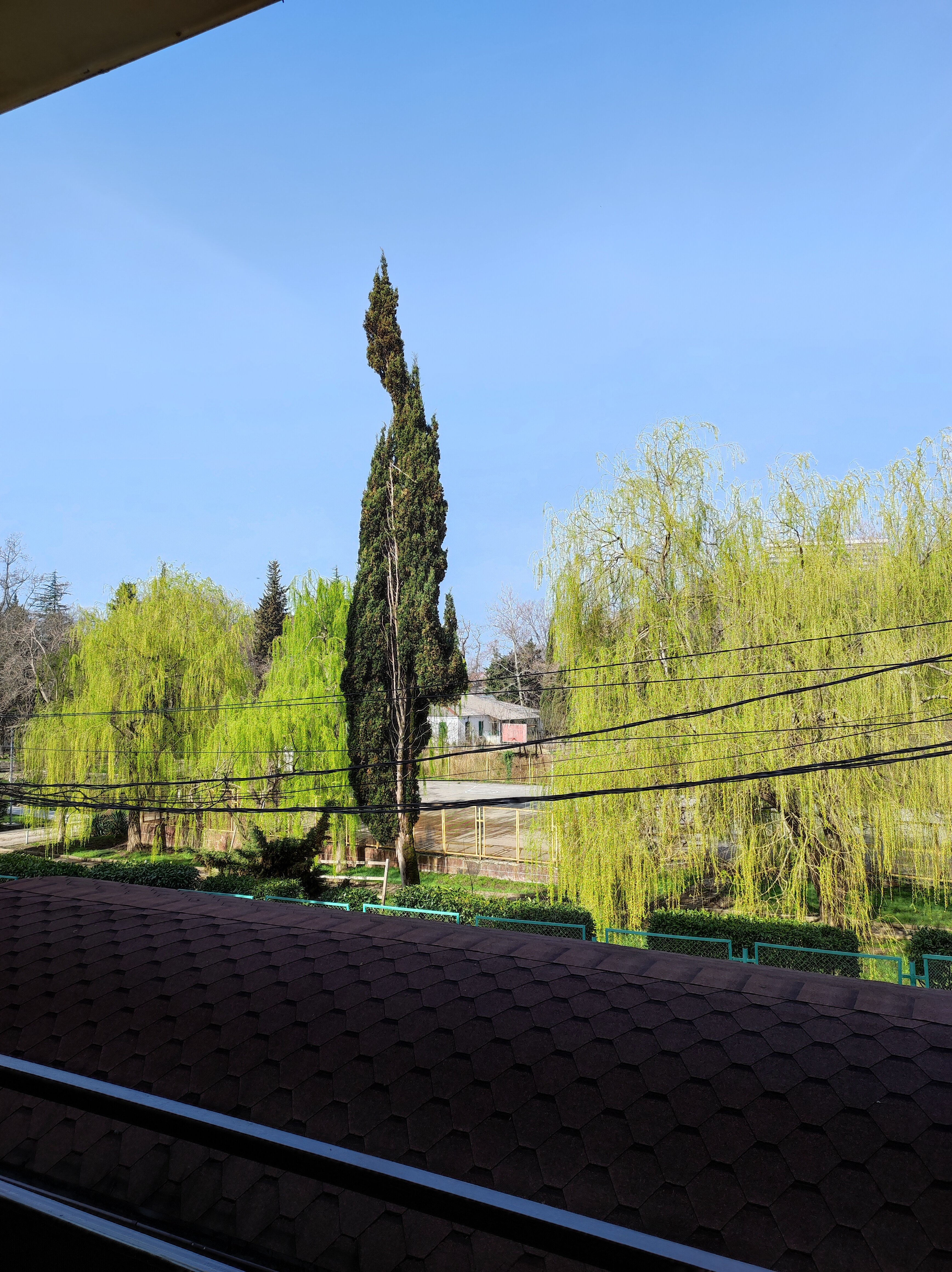 Фото Гостиница Диана