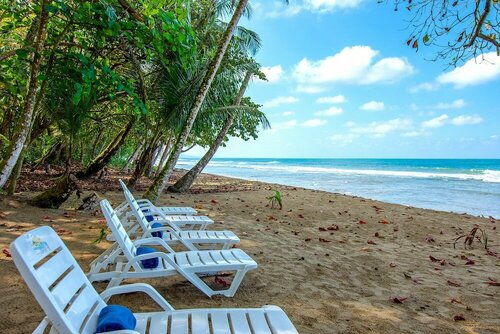 Гостиница Dragonfly Beach Retreat