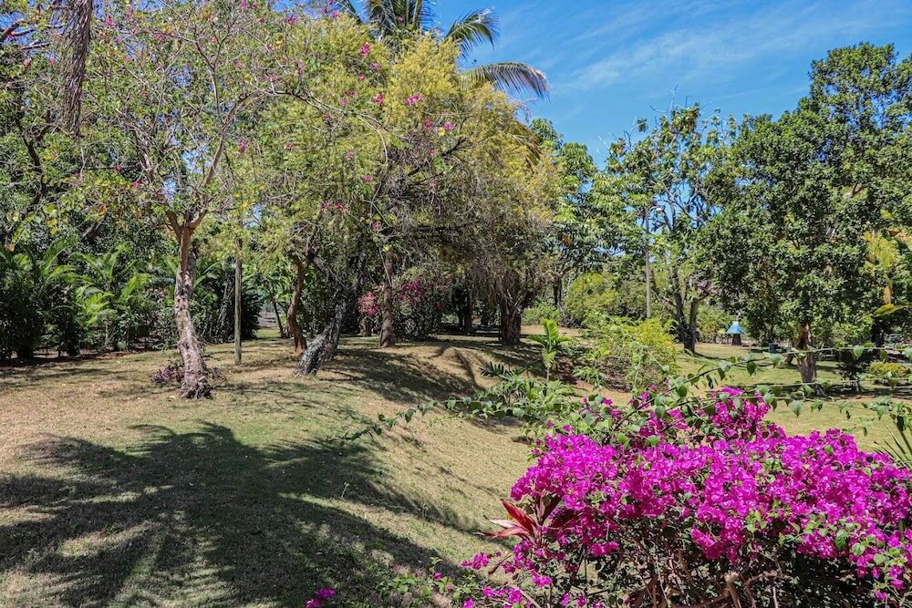 Фото Seven Palms Villa