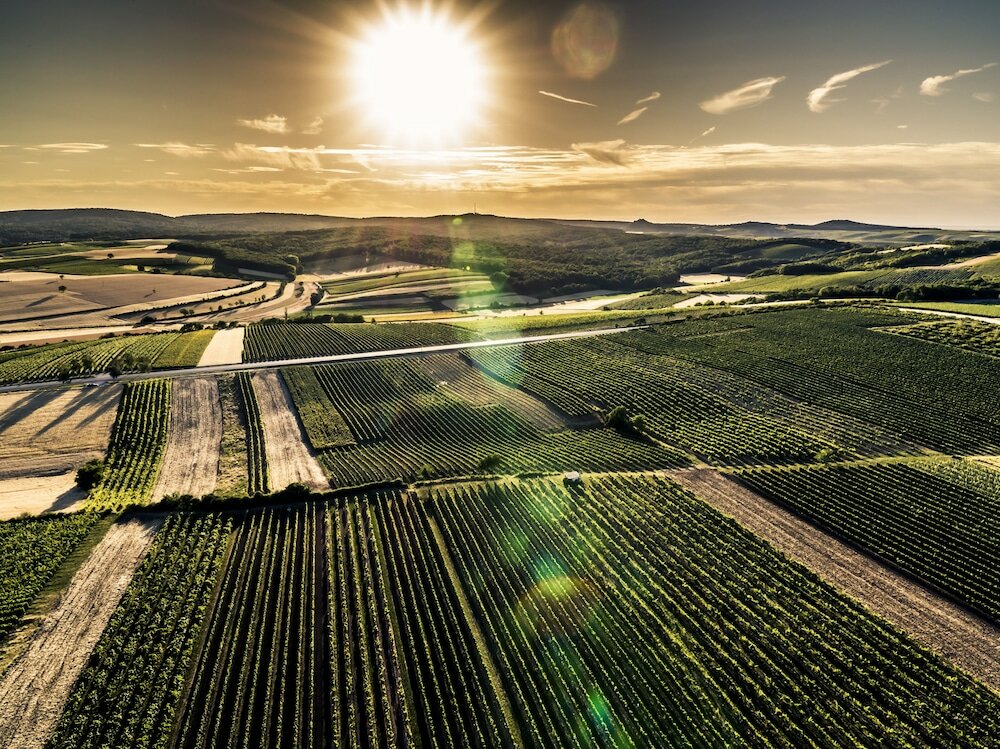 Фото Geniesserhof Haimer