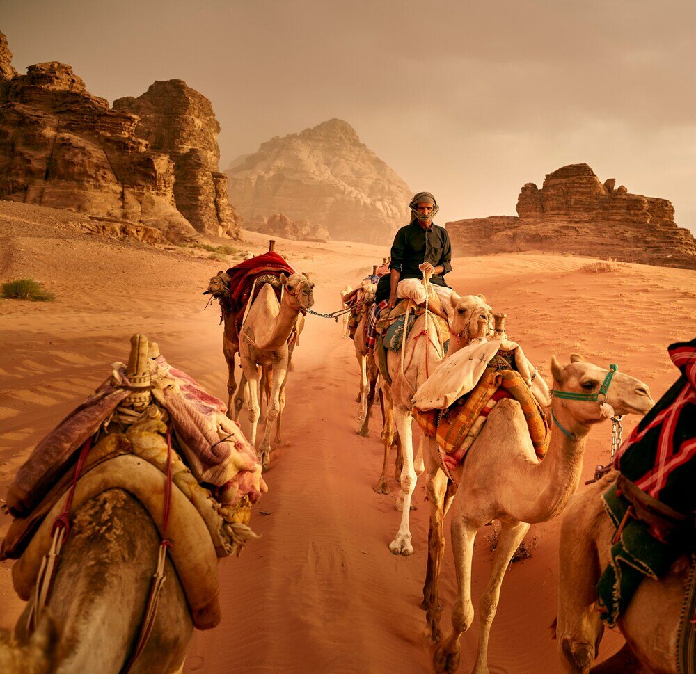 Фото Wild Oryx Camp Bubbles