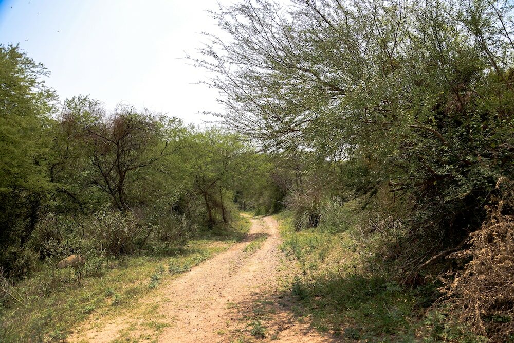 Фото Fhr Wilderness Lodge Chandigarh by Tutc