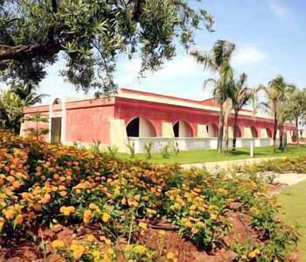 Фото Disio Resort