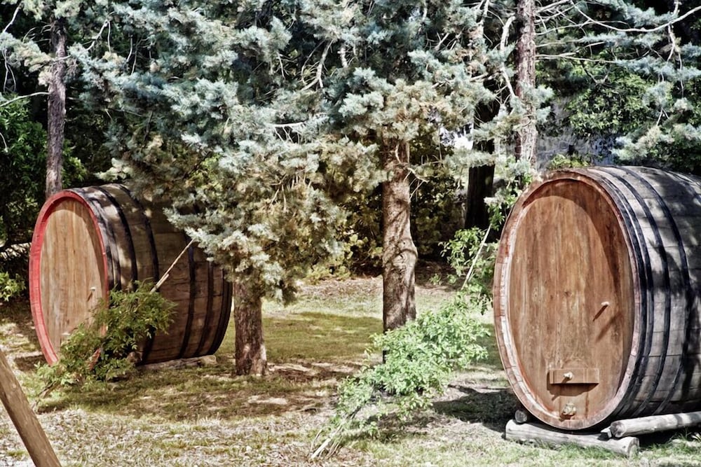 Фото Montelucci Country Resort & Agriturismo di Charme