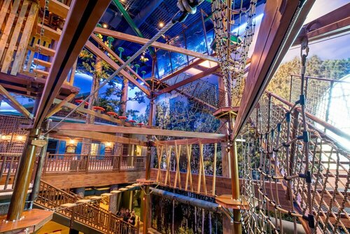 Гостиница Great Wolf Lodge Illinois в Герни