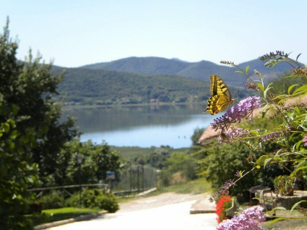 Фото Agriturismo Monte Petreto