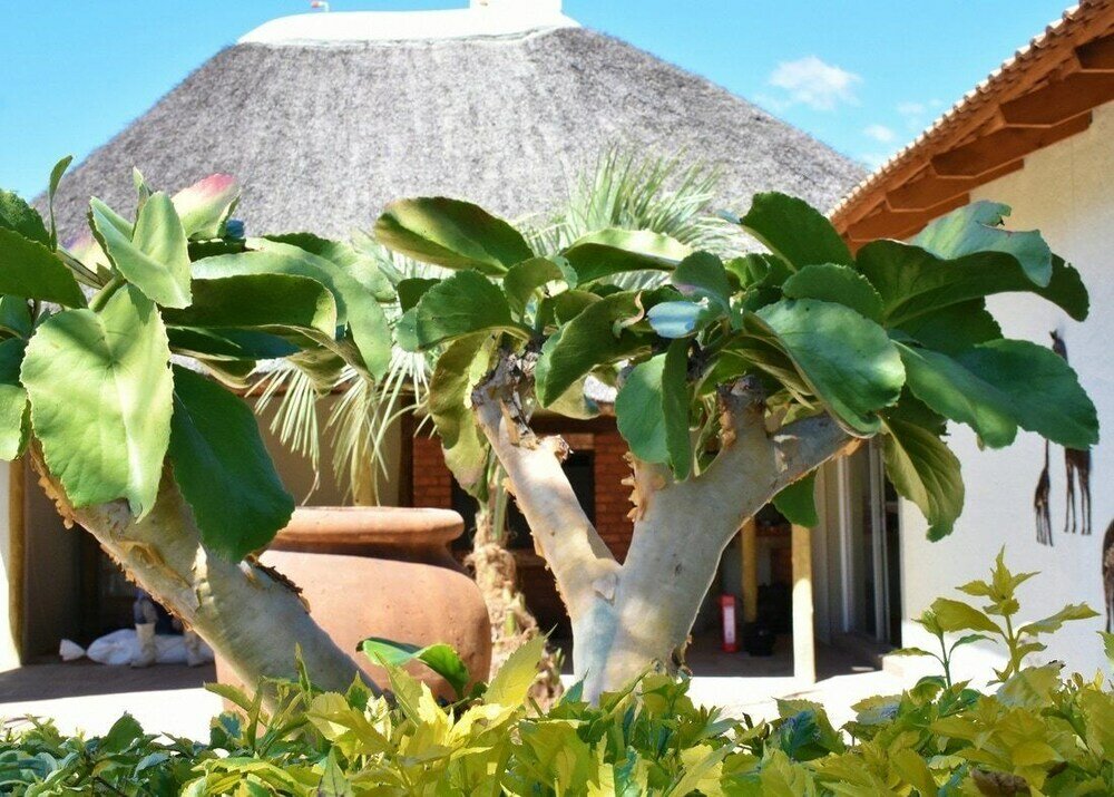 Фото Kamaku Guesthouse