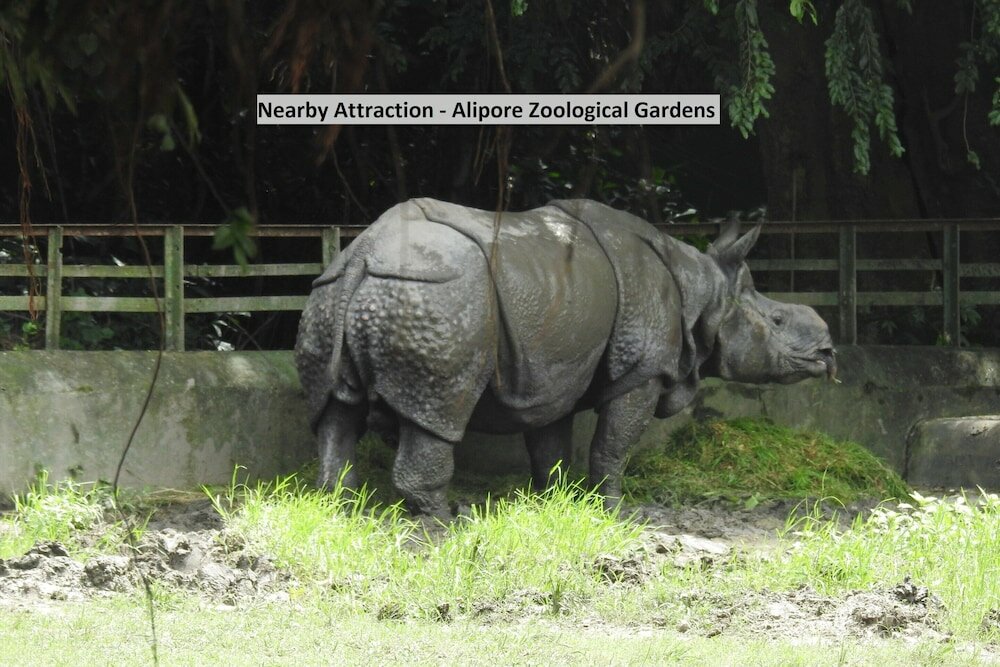 Фото Oyo 3675 Kalighat