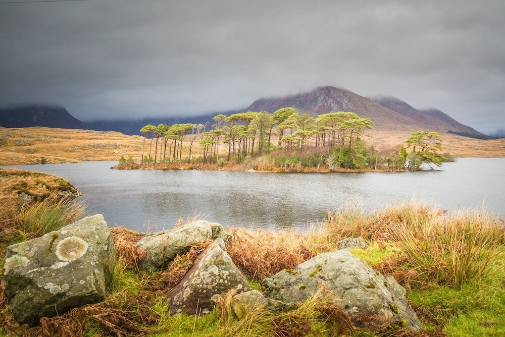 Фото The Cottage, Recess