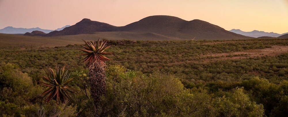 Фото Wildehondekloof