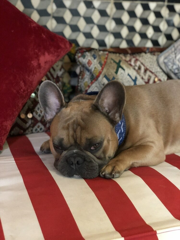 Фото Riad Tibibt