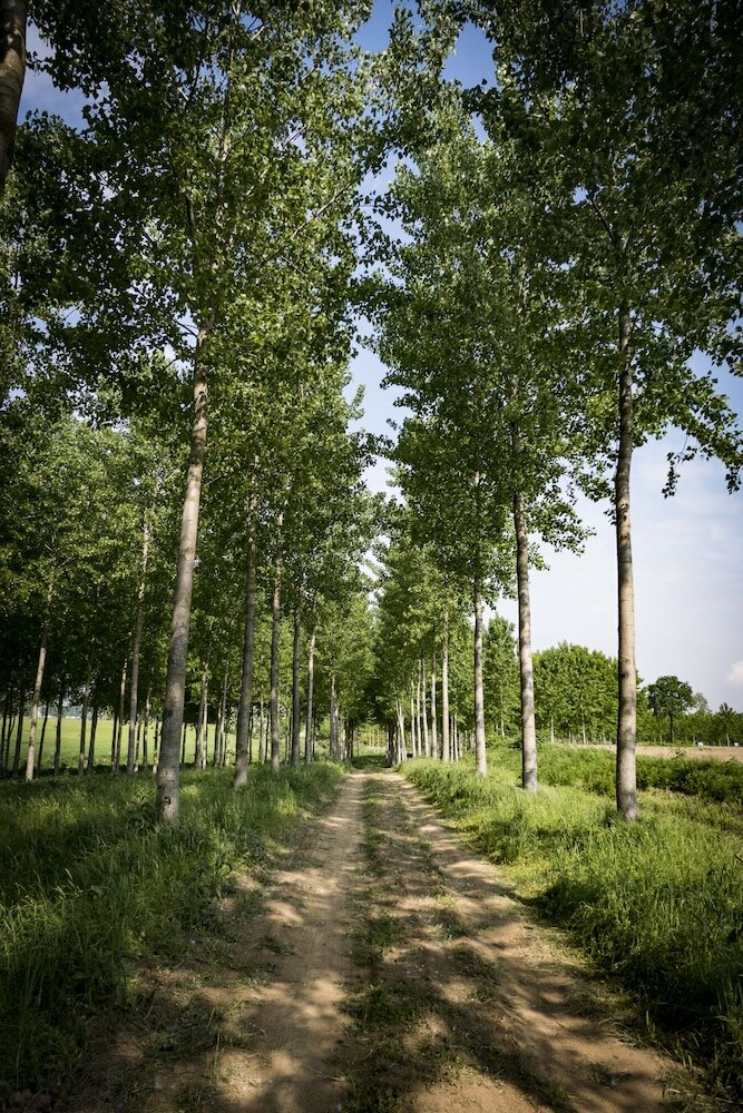 Фото Agriturismo Relais Tenuta il Cigno