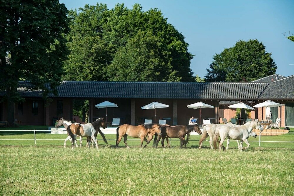 Фото Agriturismo Relais Tenuta il Cigno
