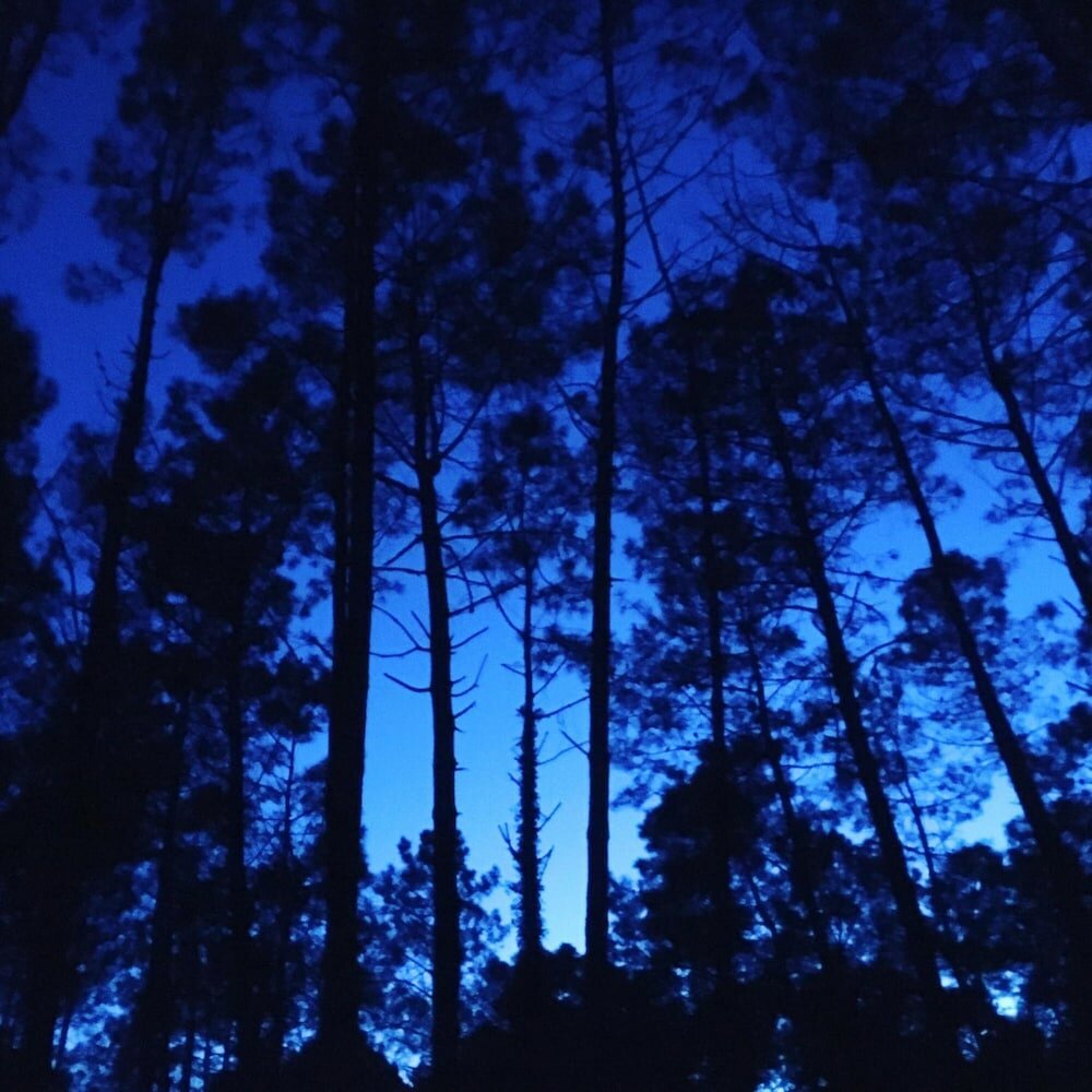 Фото Simple Pleasures Hotel