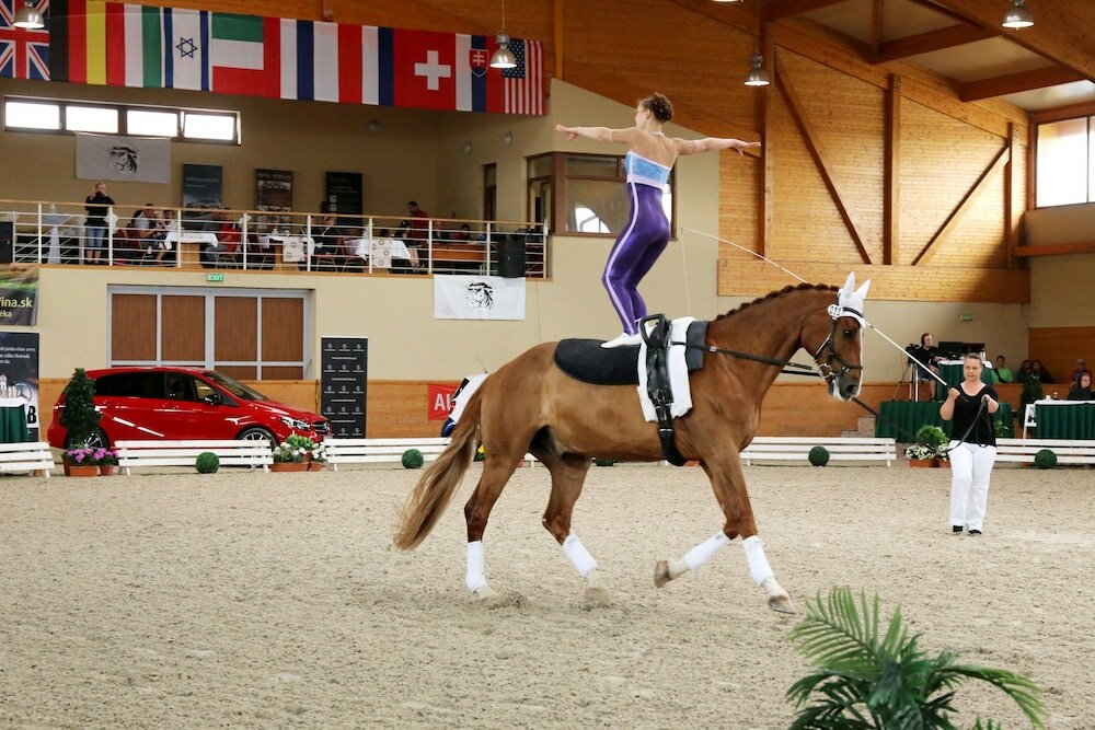 Фото Hotel Rozálka