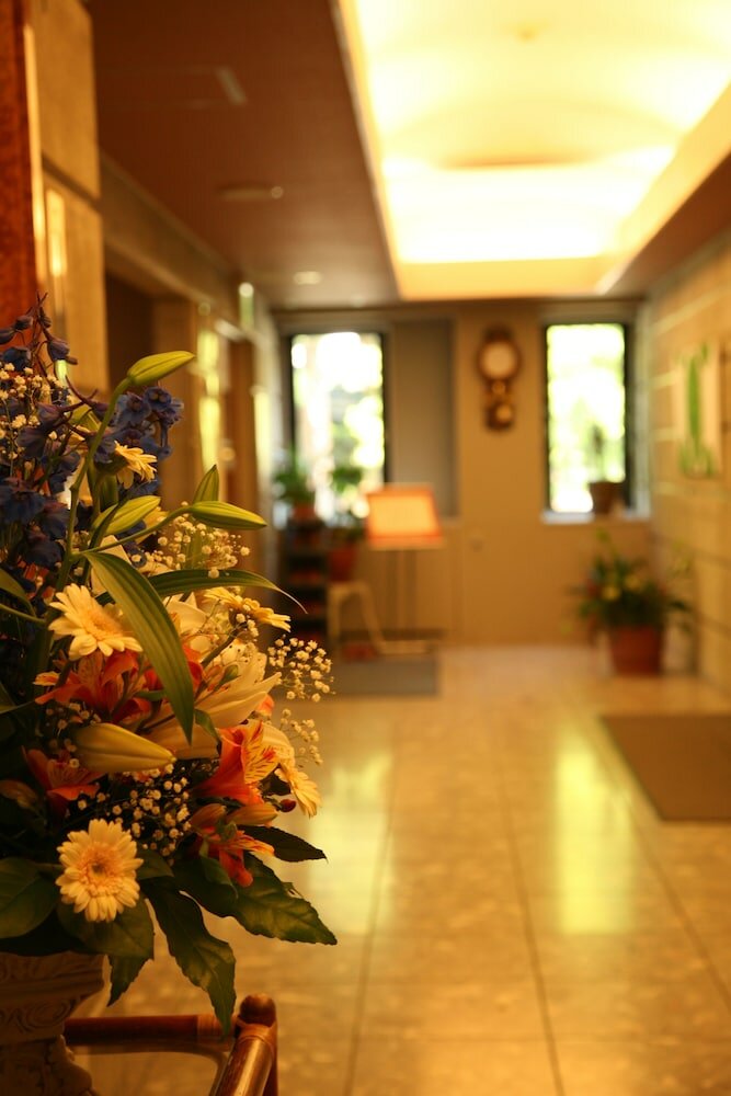 Фото Hotel Stelle Belle