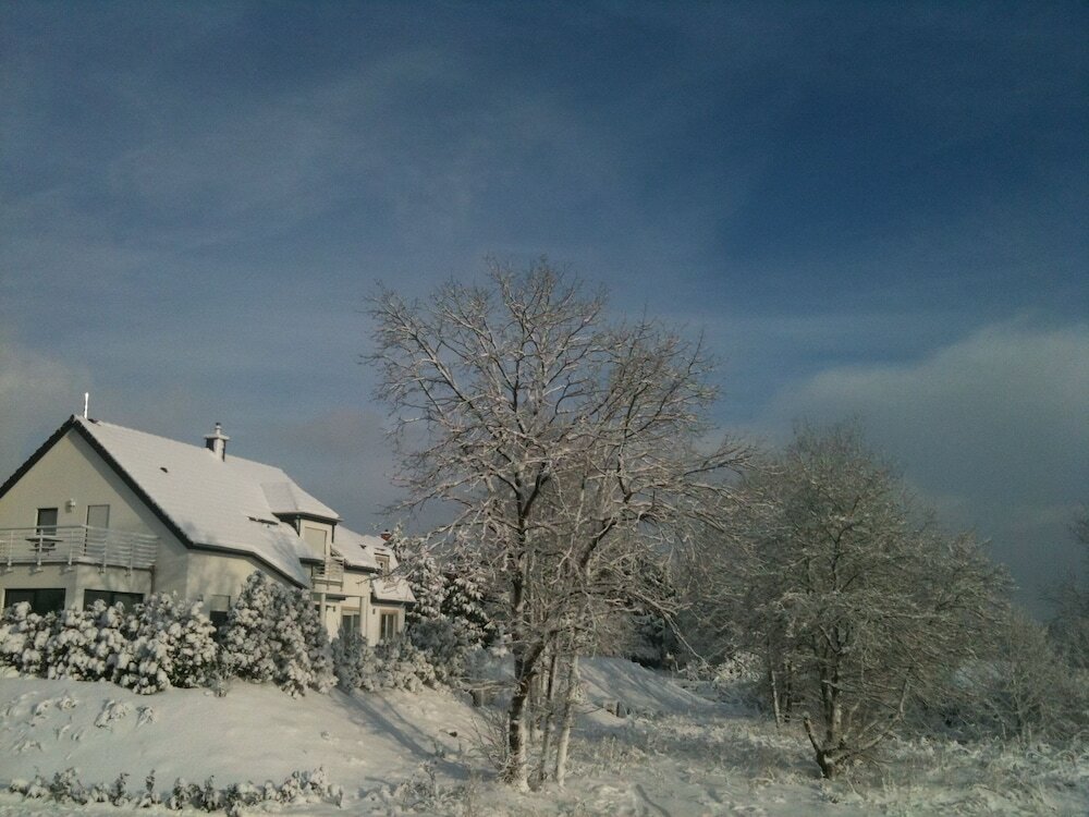 Фото 233308425506