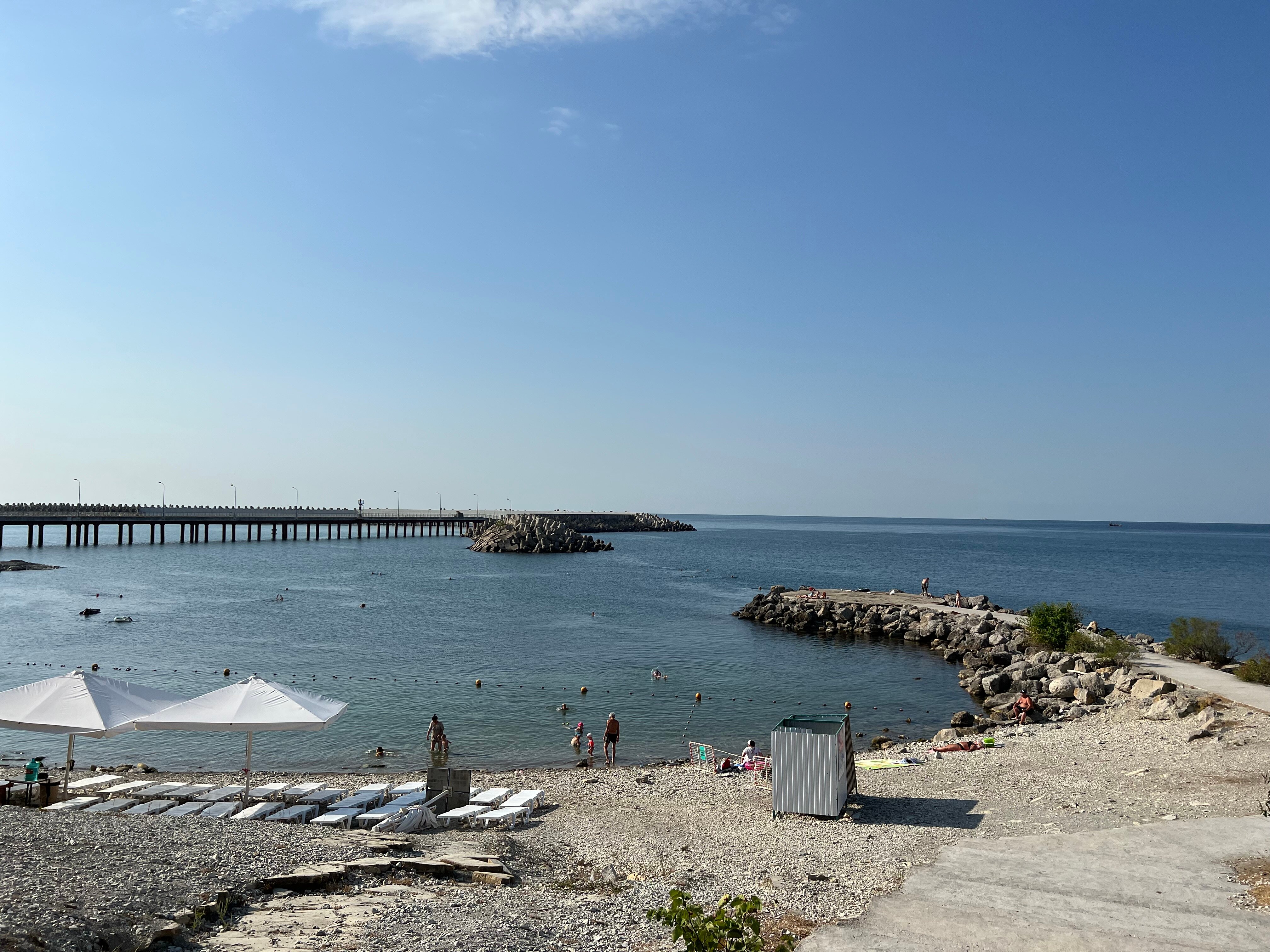 Фото Под соснами