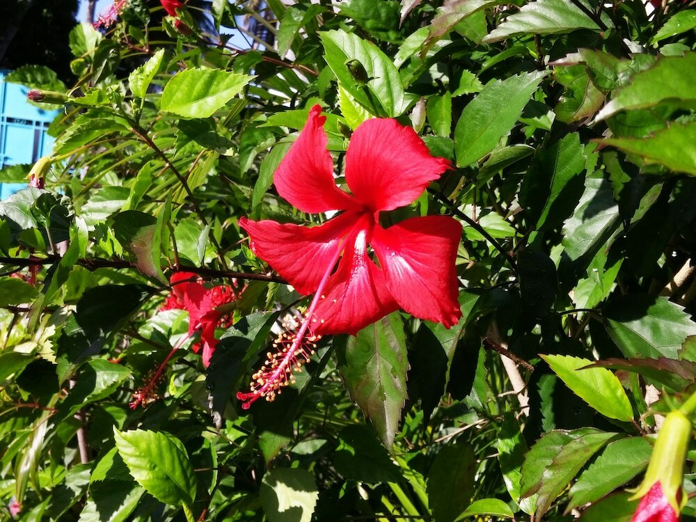 Фото Bel Fle Missions Hotel