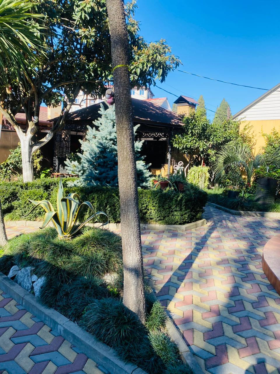 Фото Аврора