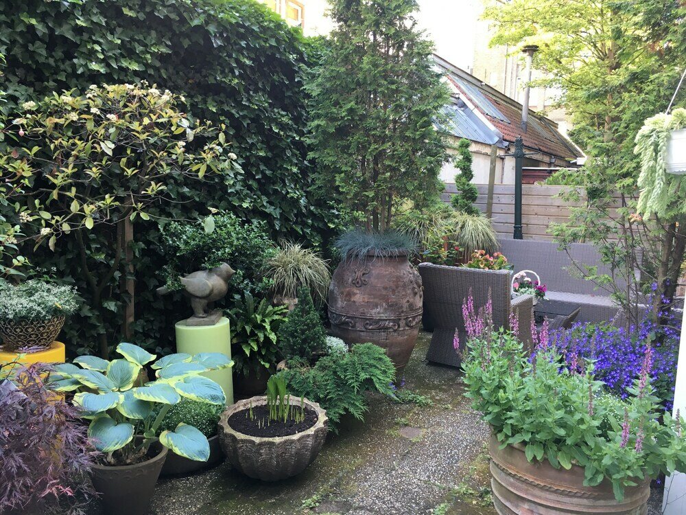 Фото Hotel Jupiter Centre