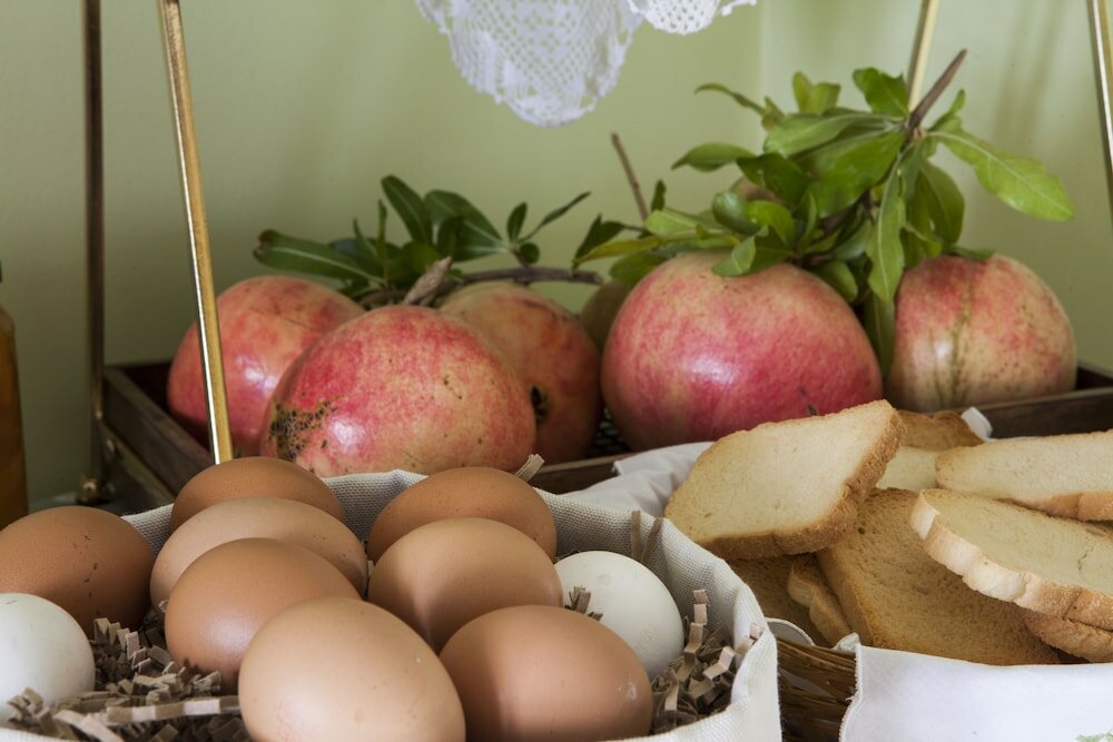 Фото Elaion Terra Boutique Guesthouse