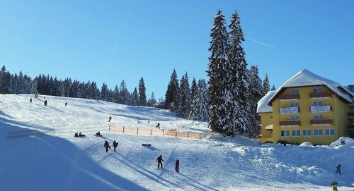 Гостиница Burgstube Feldberg