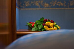 Гостиница Diana Park Hotel