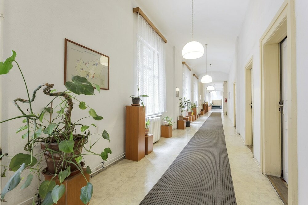 Фото Dominik Panzio