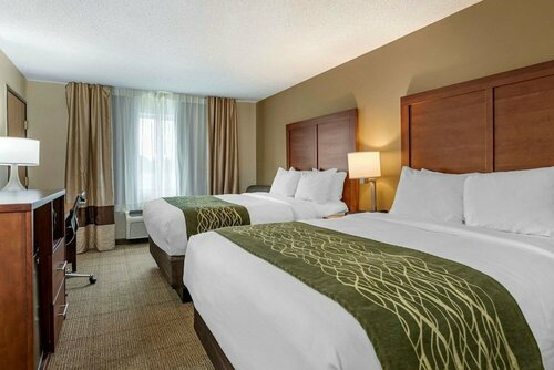 Гостиница Comfort Inn & Suites Diamondale – Lansing в Лансинге
