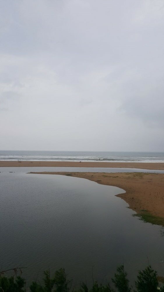 Фото Sterling Puri