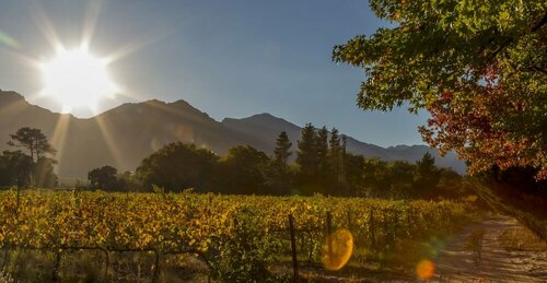 Внешний вид отеля Le Manoir de Brendel в Муниципалитете Стелленбоше, фото 5