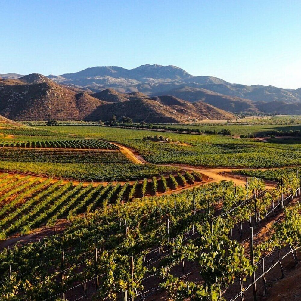 Фото Hotel Palacio Azteca