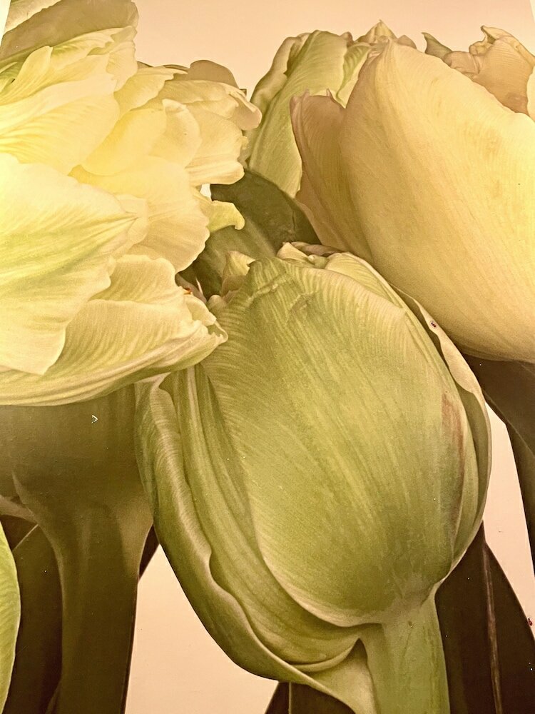 Фото Bed and Breakfast Rhome86