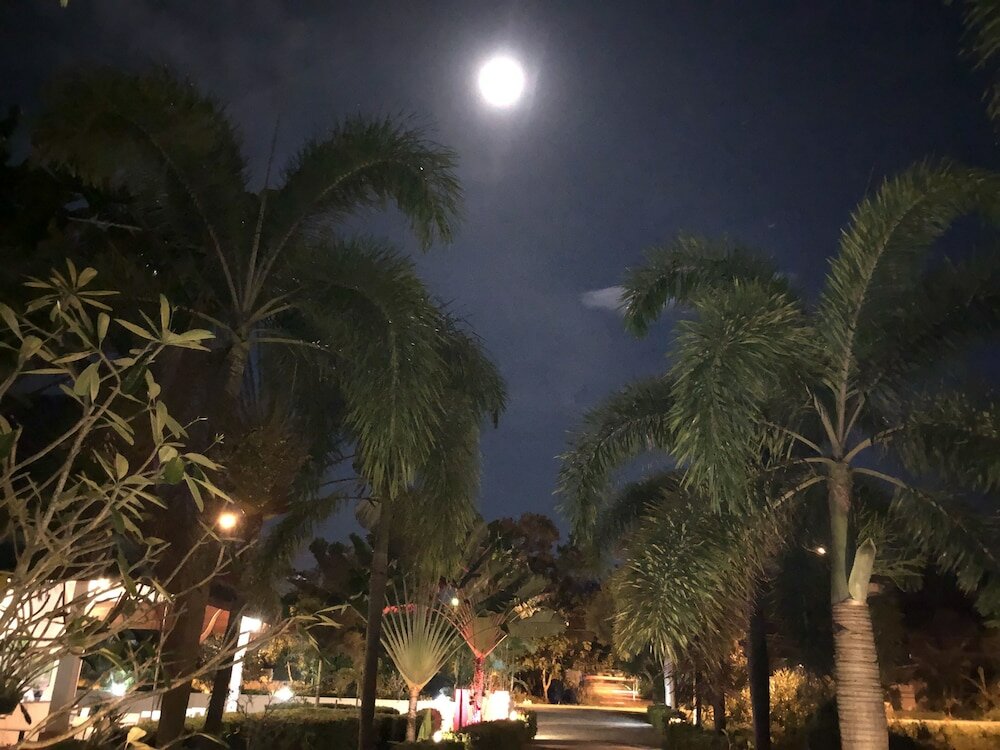 Фото Nadivana Serviced Apartments